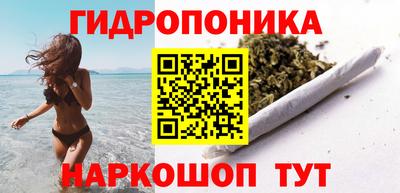 молекула духа Лесосибирск