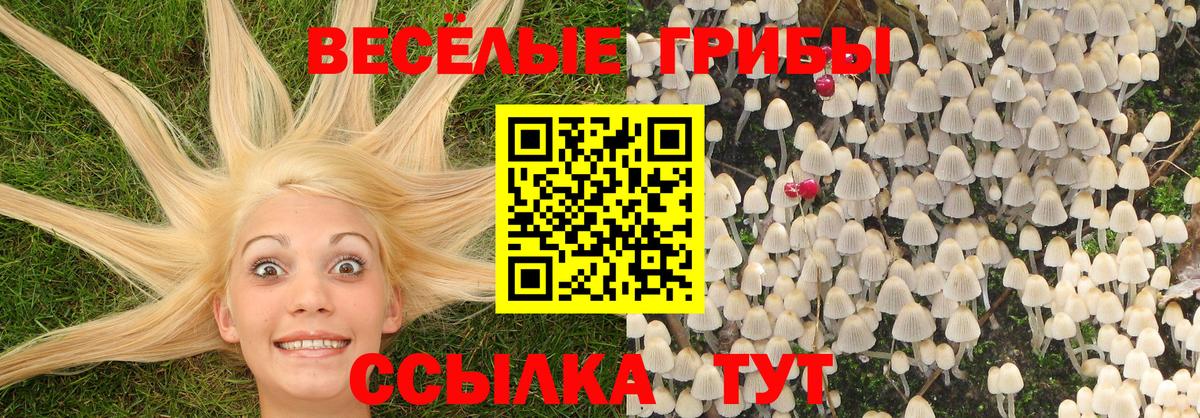 Псилоцибиновые грибы GOLDEN TEACHER  Вход с VPN  Шатура 