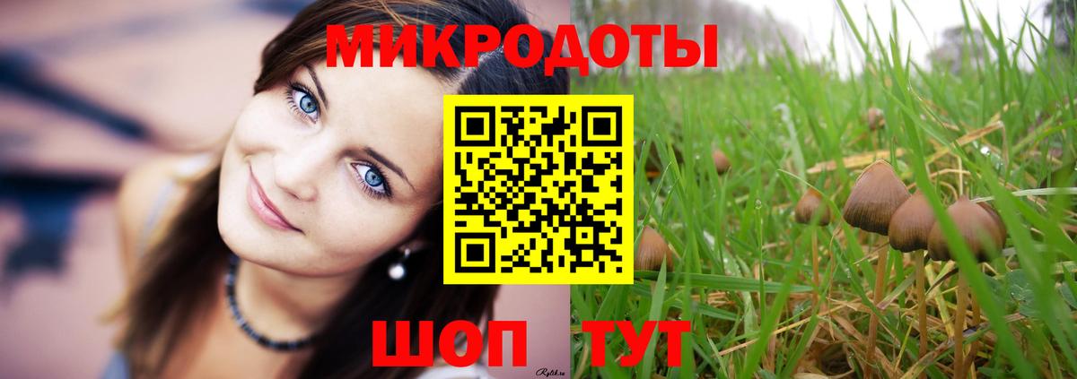 Псилоцибиновые грибы Magic Shrooms Шатура
